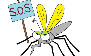 Estétől retteghetnek a vérszívók