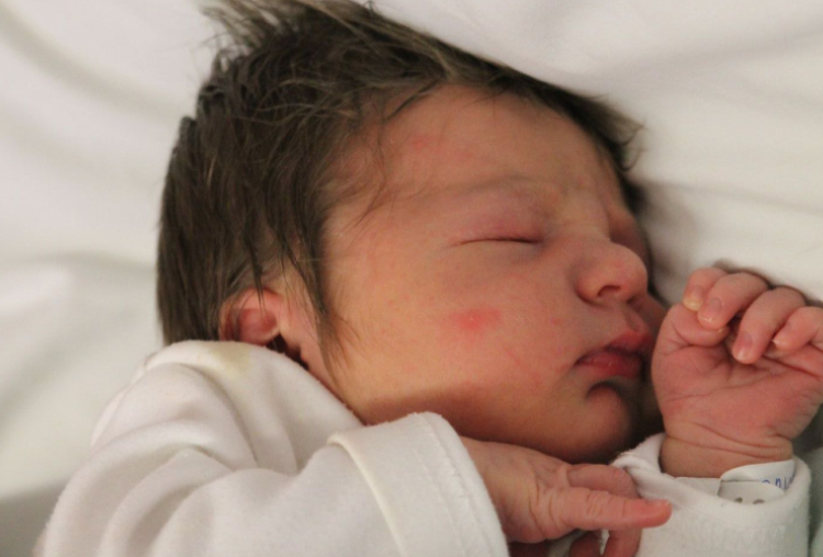 Horváth Milán Zalán