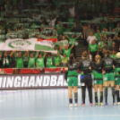 2017.11.06. Győri Audi Eto KC-Rostov Don női kézilabda Bajnokok Ligája Fotók:árpika .