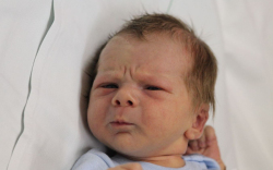 Vékony Levente László