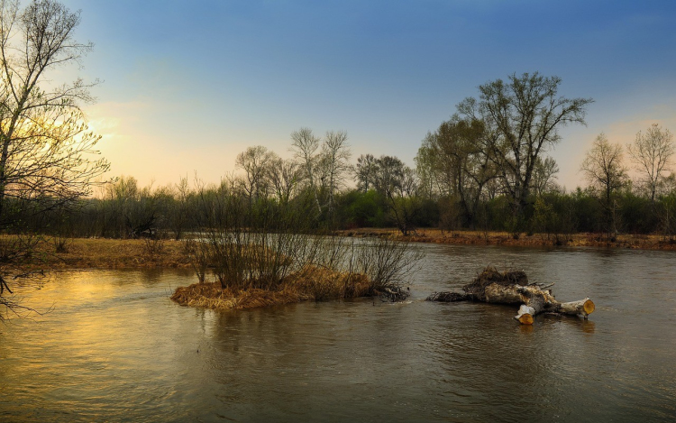 Árvízvédelmi projektet adtak át Lébénynél