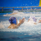 Vízilabda világbajnokok Győrben - photo Gombás Ákos