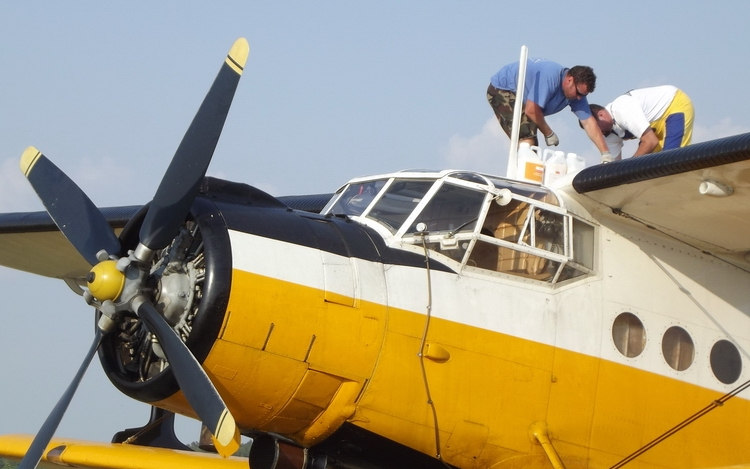 Tájékoztató szúnyoggyérítésről 