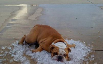 Elsőfokú figyelmeztetés a hőség miatt Győr-Moson-Sopron megyére