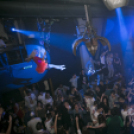 Club Vertigo - All 4 Ladies 2015.11.14. (szombat) (Fotók: MikeD.)