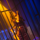 Club Vertigo - Muzzaik 2014.10.04. (szombat)