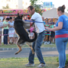 2013.06.23.Vasárnap SzFeszt 4.nap Fotók.árpika