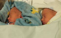 Bányai Zoltán és Bence 