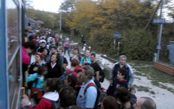 Ritkán látott tömeg a Bakony vasúton - Fotók