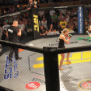 2015.05.09. Profi MMA Gála fotók:árpika