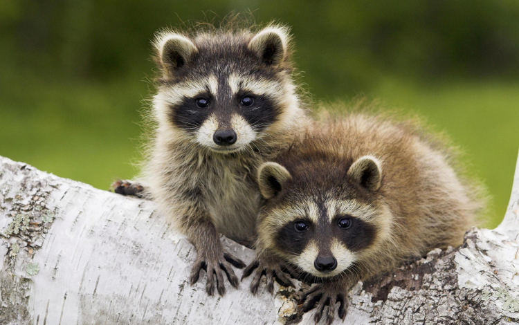 Ezen a napon - Hírek a múltból