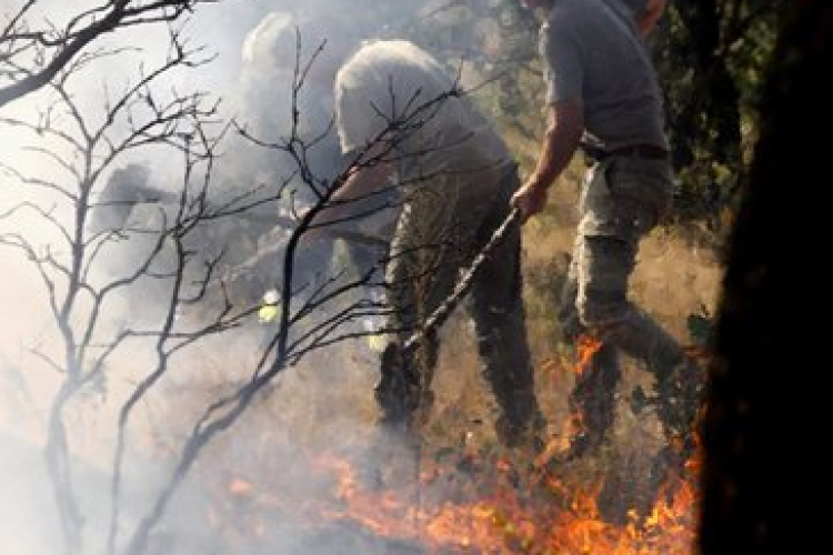 Bálatűz a Bakonyban