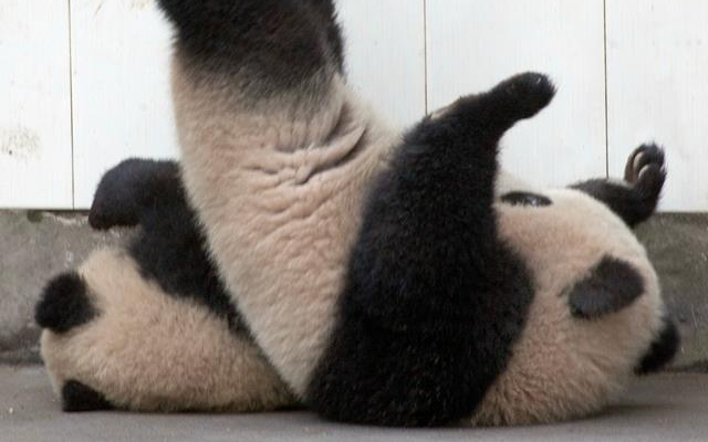 Olvadunk - A nap legtündéribb fotói 