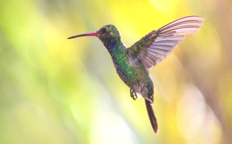 Hatvanöt év képei a falakon