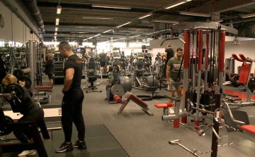 Új év, új életmód