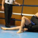 2013.02.16.Szombat Profi MMA És Box Mérkőzés Fotók:árpika
