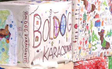 Gyerekek teszik szebbé az elárvult állatok karácsonyát