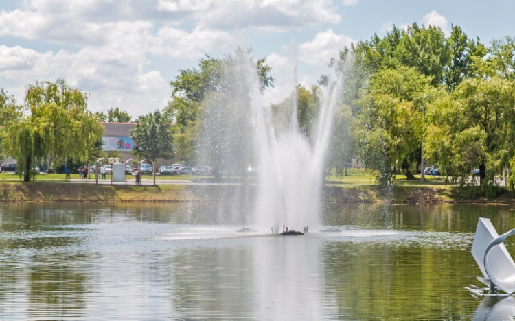 Hínárvágás az Adyvárosi I-es számú tavon