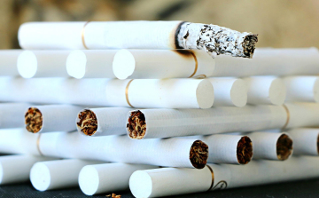 Cigi a bőröndben és szívószálak között