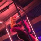 Club Mundo -  Sikztah 2013.08.04. (szombat) (fotók: Mundo)