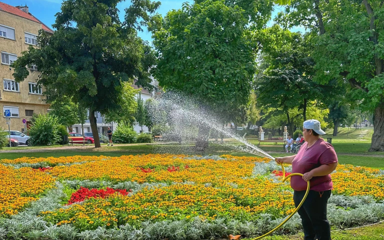 Mi lesz a szép zöld füvemmel? A Győr-Szol ezt tanácsolja