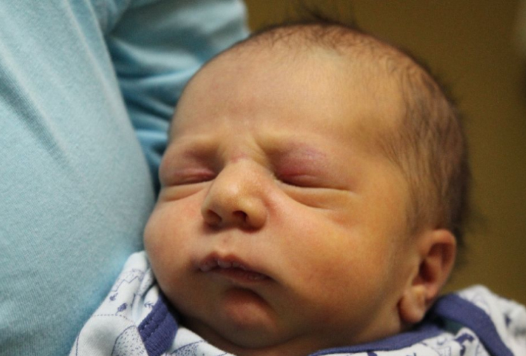 Csemez Áron Miklós 