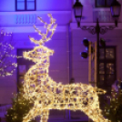 Felgyúltak az ünnepi fények Győr belvárosában