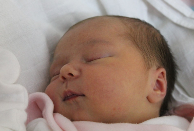 Lakatos-Holler Sára