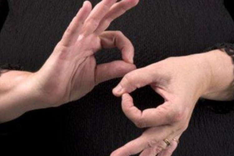 Közös nemzetközi konferenciát tartott a SINOSZ és a  WFD