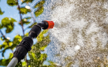 Ismét felveszik a harcot Győrben a kártevők ellen