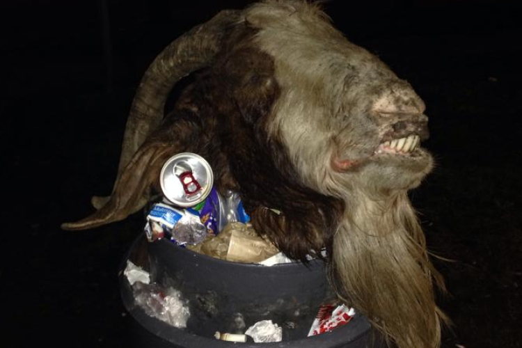 Döbbenet! Kecskefej egy győri szemetesben