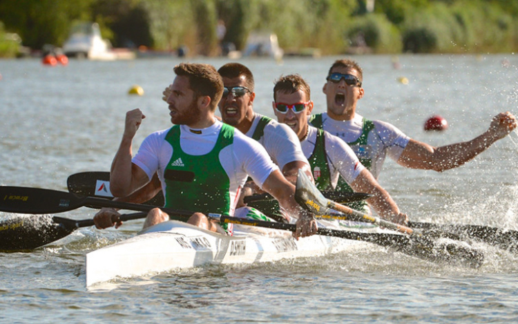 Kajak-kenu ob - Ismét a Hufnágel vezette négyes nyerte az olimpiai válogatót