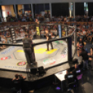 2015.05.09. Profi MMA Gála fotók:árpika