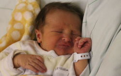 Bondár Barnabás Vilmos 