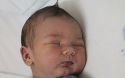 Fonódi Adrián Gábor 