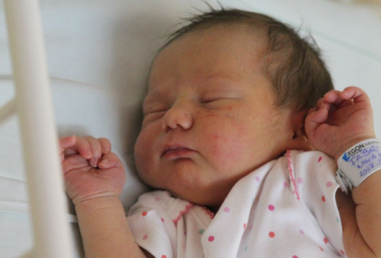 Fábri Nina Katerina 