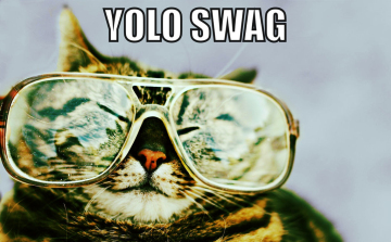 Szleng értelmező kéziszótár #YOLO #SWAG