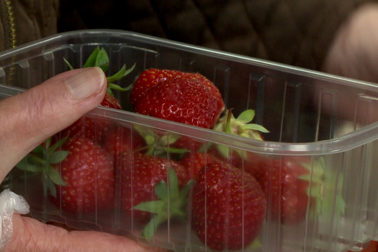 Elindult az eperszezon