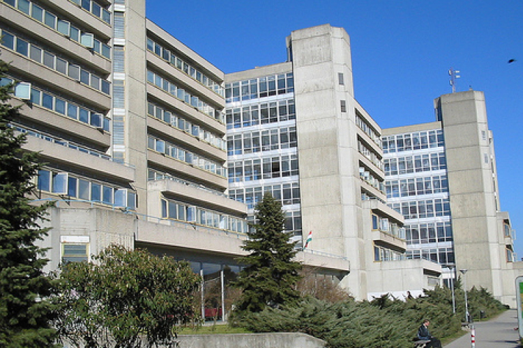 Járműfejlesztési tanszék indul a győri egyetemen