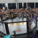 2015.05.09. Profi MMA Gála fotók:árpika