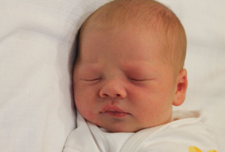 Győrfi Noel Zoltán 