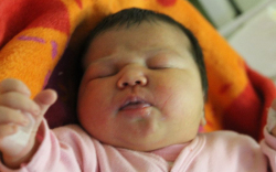 Szabó Jázmin Boglárka