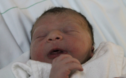 Hebling Krisztofer László