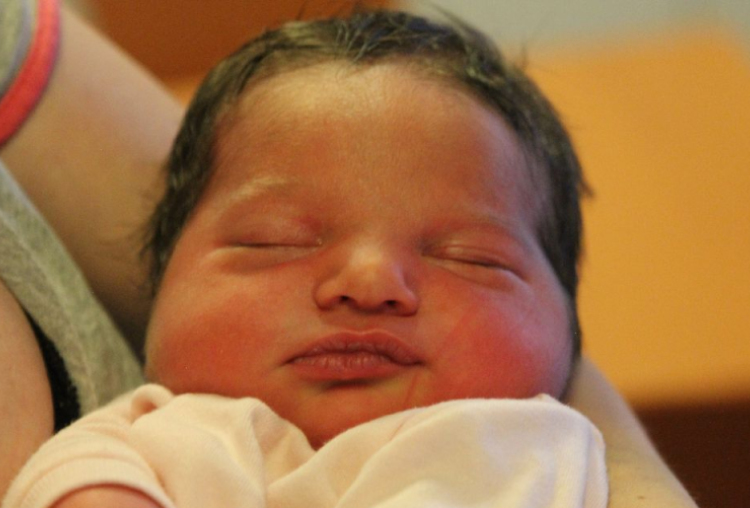 Molnár Jázmin Dorka 