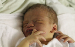 Schwenk Gábor Ferenc 