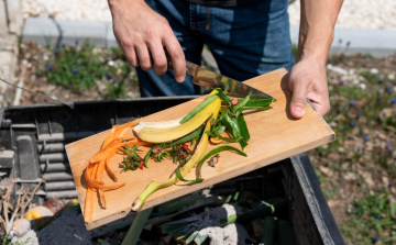 Így készíts saját komposztálót! Egyszerű és olcsó megoldások