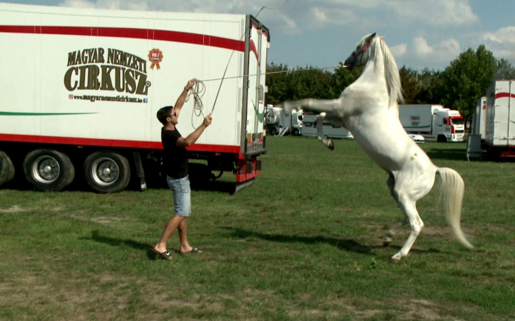 Győrben a Magyar Nemzeti Cirkusz