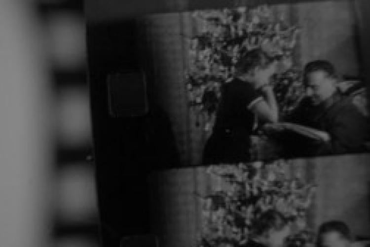 Szlovák rendező műve nyerte a rotterdami filmszemle fődíját