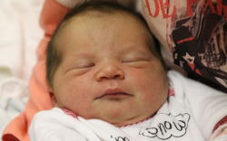 Bartossik Borka Szofia 