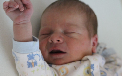 Kovács Kolos Bálint 